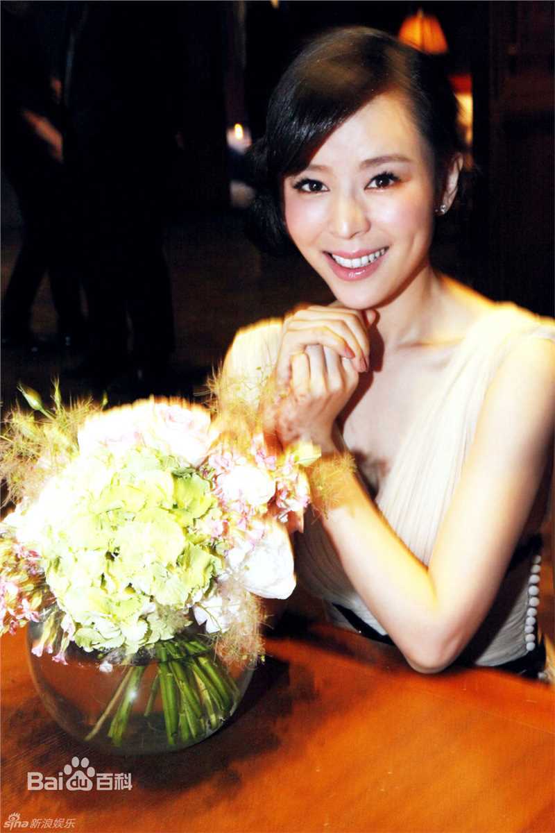 高清张静初(Zhang Jingchu)精彩图册