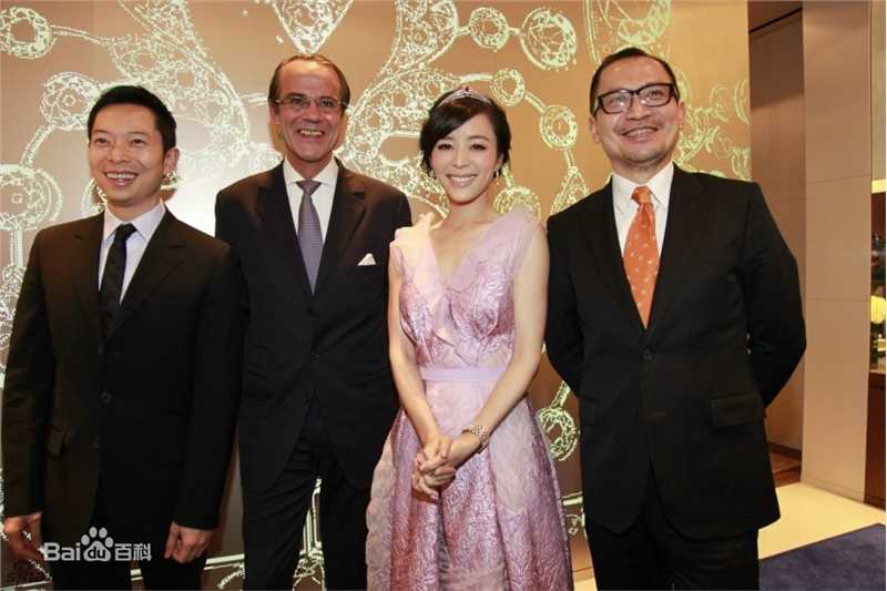 最全张静初(Zhang Jingchu)精彩图册