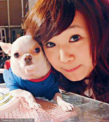 最新张静初(Zhang Jingchu)精彩图册