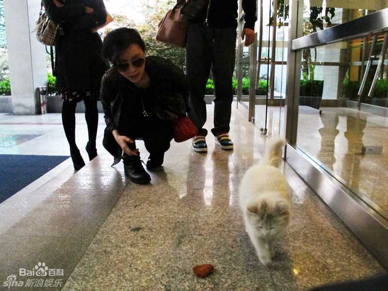 最新张静初(Zhang Jingchu)精彩图册