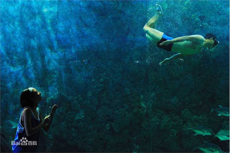 最新张静初(Zhang Jingchu)精彩图册