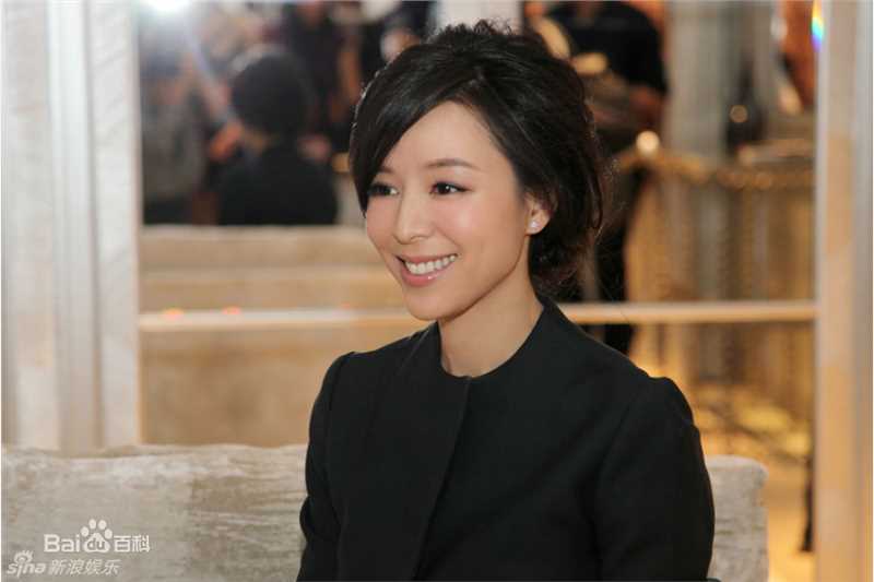 最优质张静初(Zhang Jingchu)精彩图册