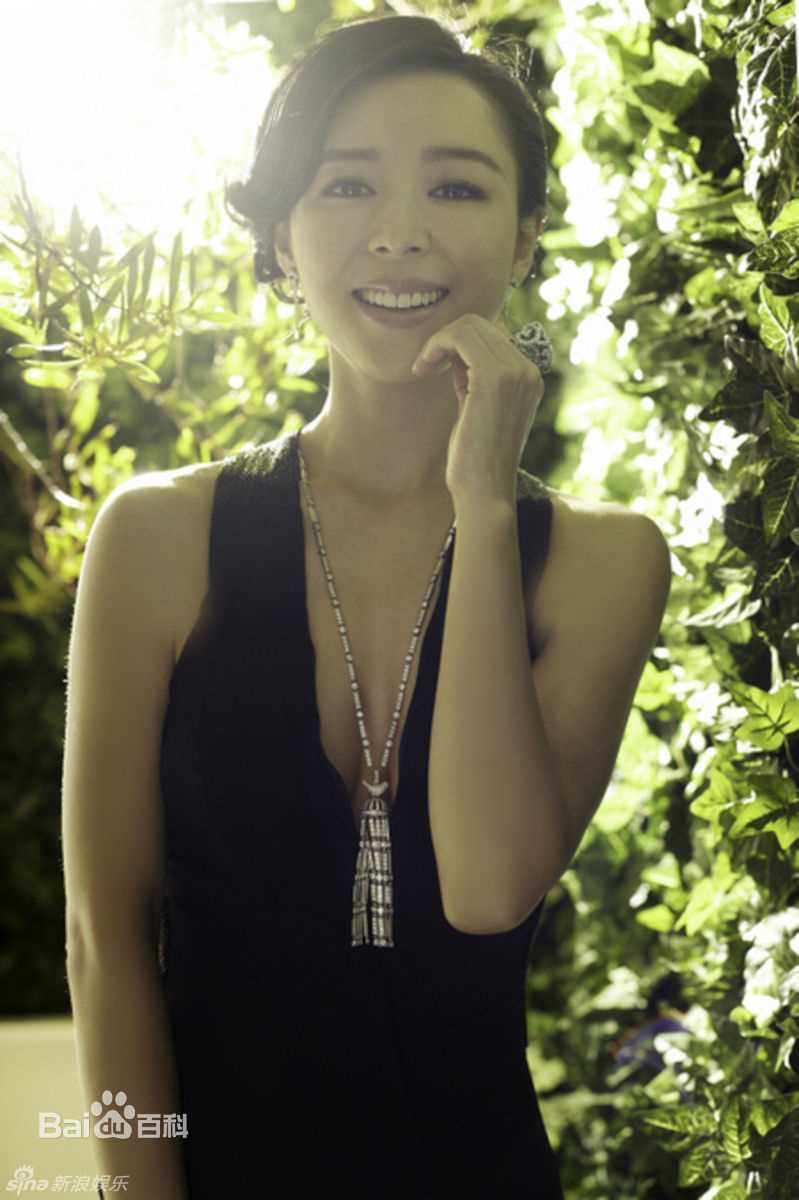 最优质张静初(Zhang Jingchu)精彩图册