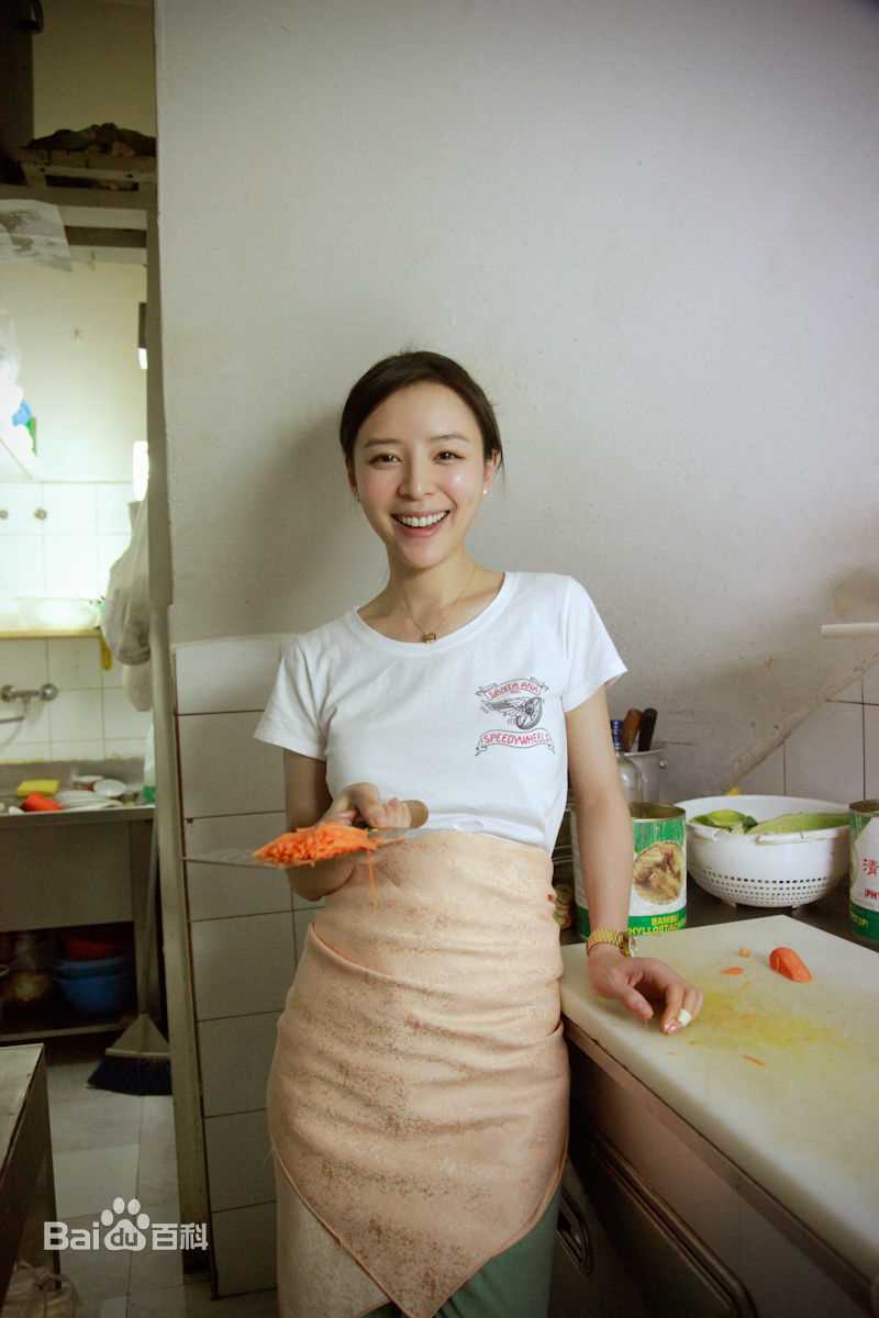 最优质张静初(Zhang Jingchu)精彩图册