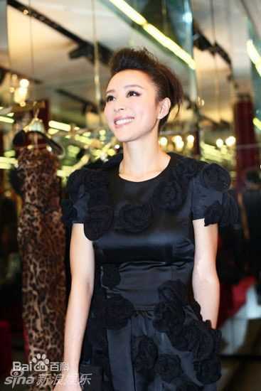 最优质张静初(Zhang Jingchu)精彩图册