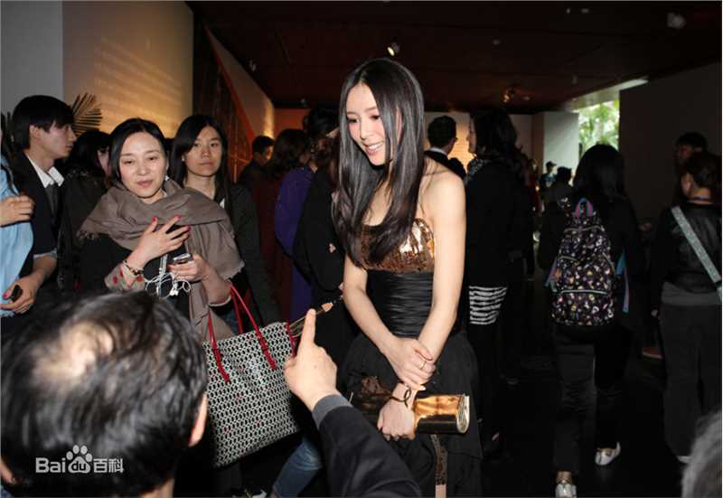 最优质张静初(Zhang Jingchu)精彩图册