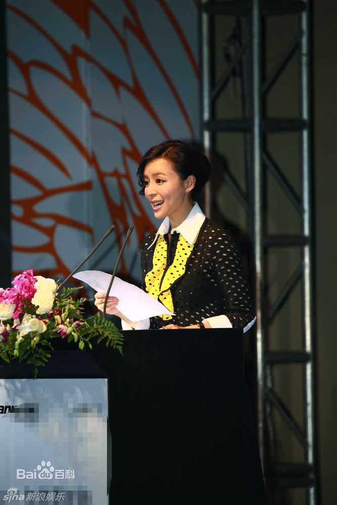 最优质张静初(Zhang Jingchu)精彩图册