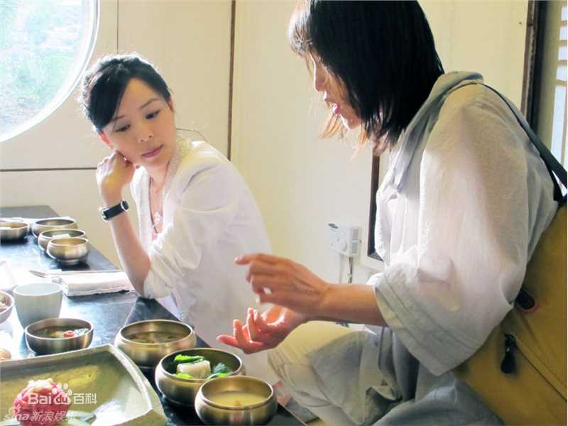 最优质张静初(Zhang Jingchu)精彩图册