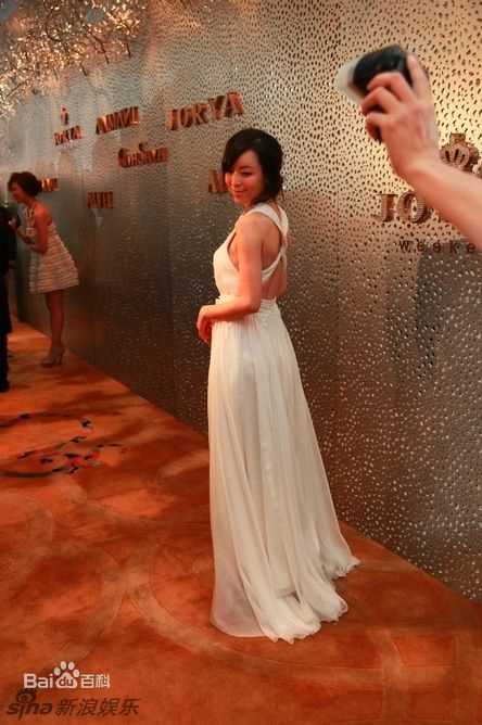 最优质张静初(Zhang Jingchu)精彩图册