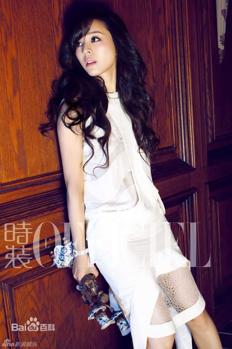 最优质张静初(Zhang Jingchu)精彩图册