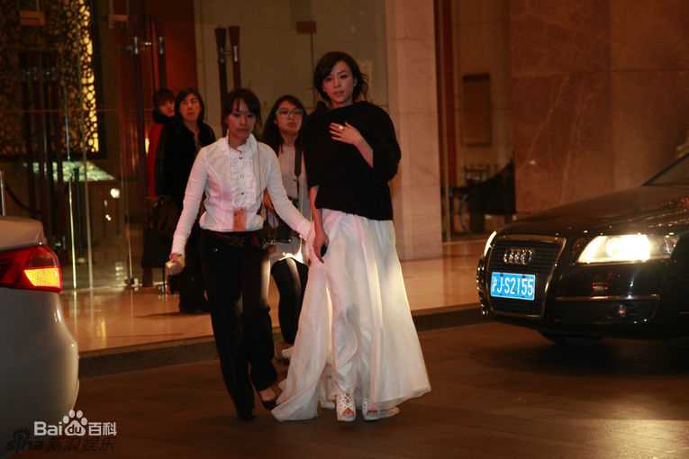 最优质张静初(Zhang Jingchu)精彩图册