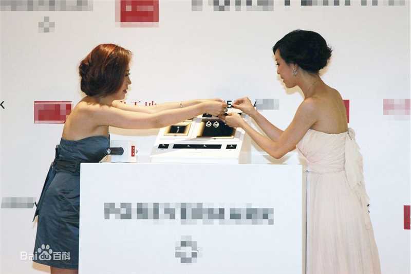 精选张静初(Zhang Jingchu)精彩图册