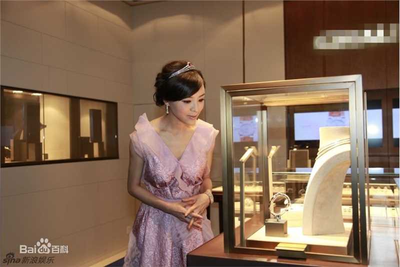 张静初(Zhang Jingchu)精彩图册