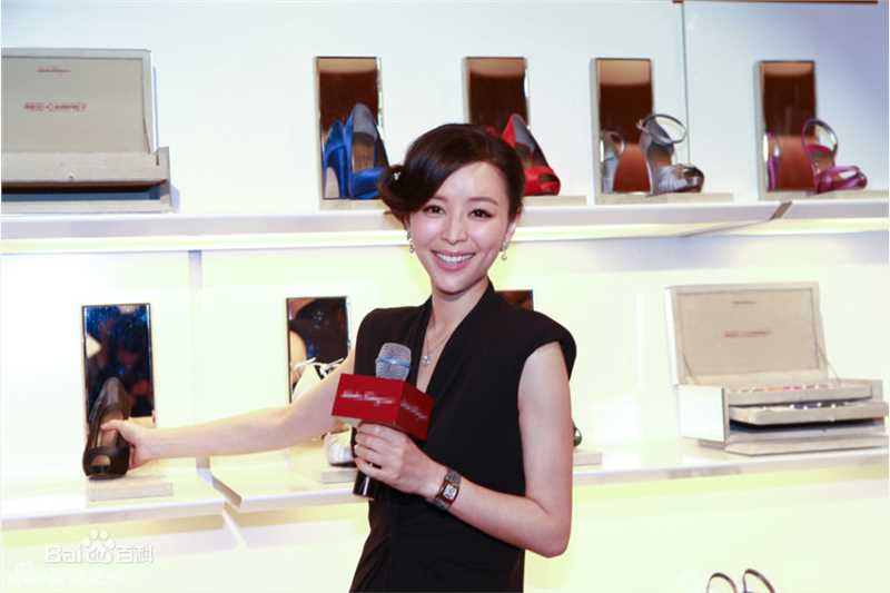 张静初(Zhang Jingchu)精彩图册