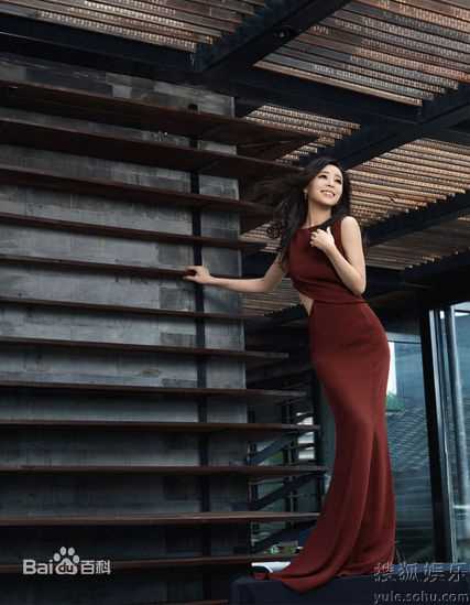 最新张静初(Zhang Jingchu)精彩图册