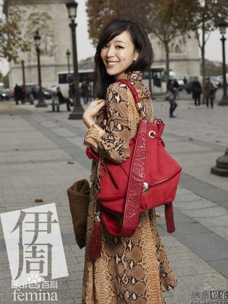 最优质张静初(Zhang Jingchu)精彩图册