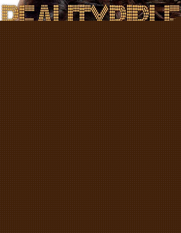 最优质张静初(Zhang Jingchu)精彩图册