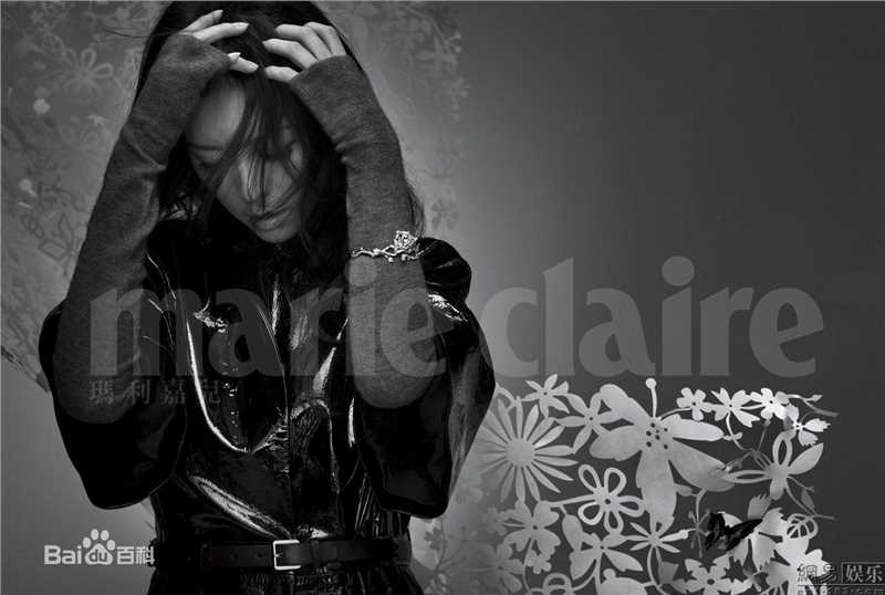 最优质张静初(Zhang Jingchu)精彩图册