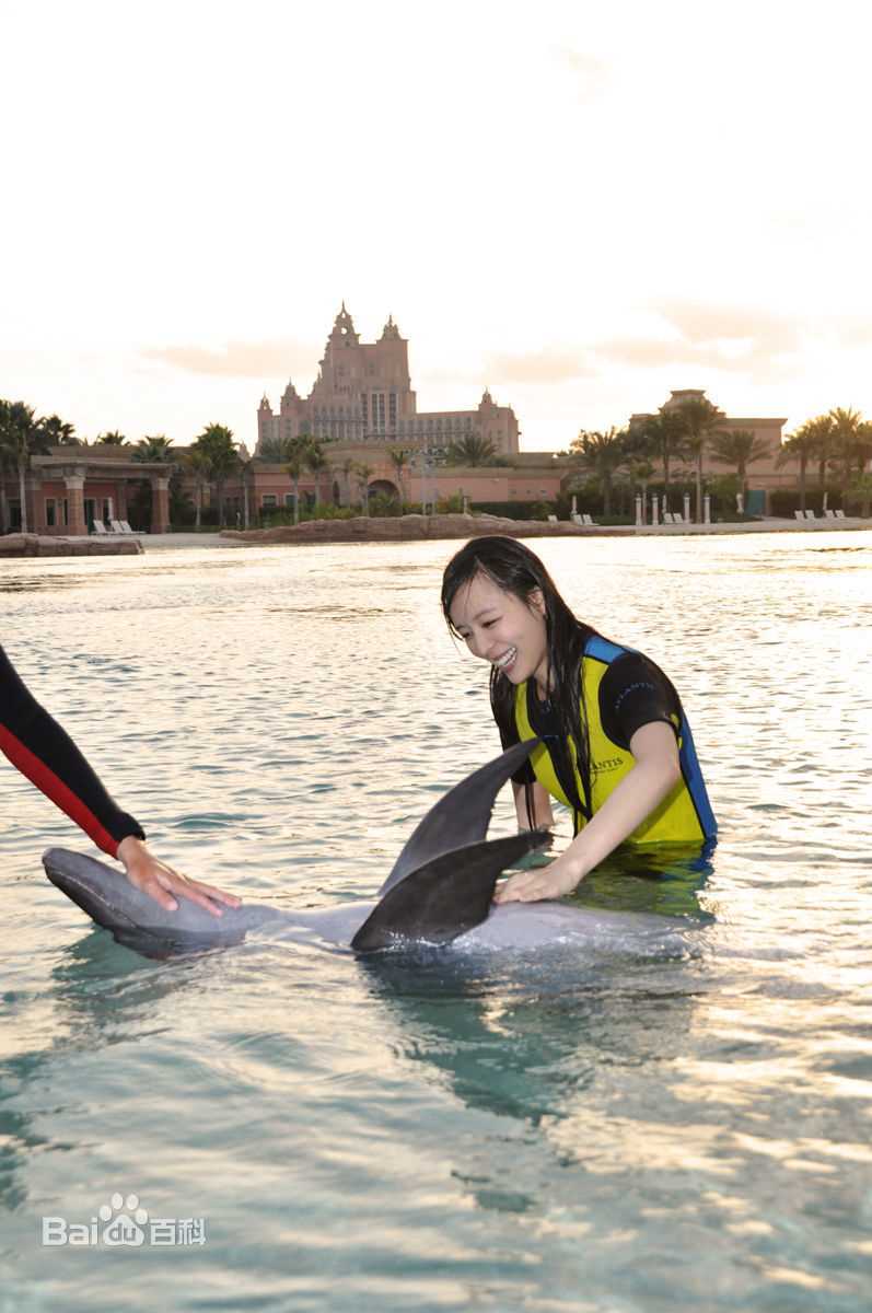 张静初(Zhang Jingchu)精彩图册