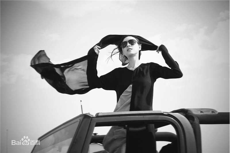 张静初(Zhang Jingchu)精彩图册