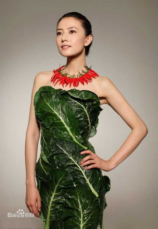 高圆圆(Gao Yuanyuan)公益活动生活照相册