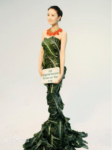 高圆圆(Gao Yuanyuan)公益活动生活照相册