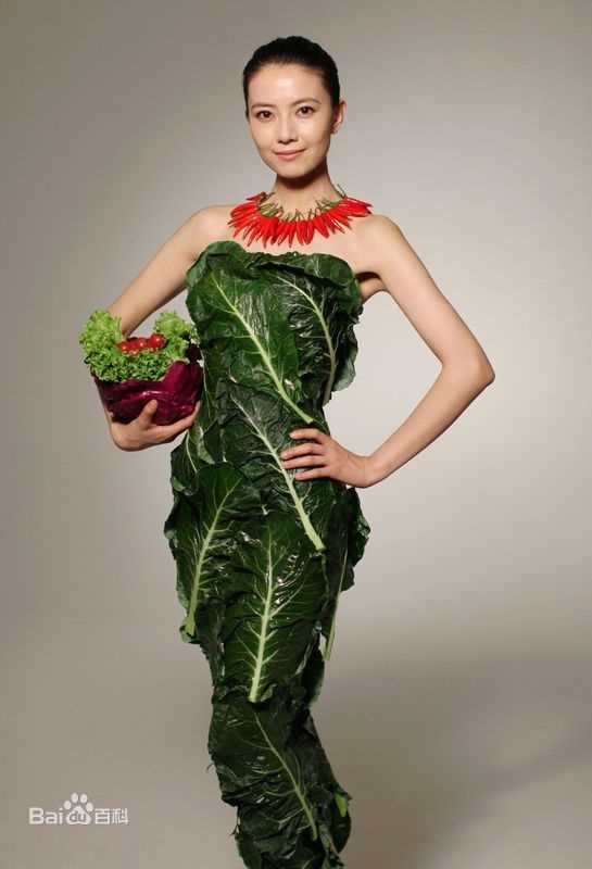 高圆圆(Gao Yuanyuan)公益活动生活照相册