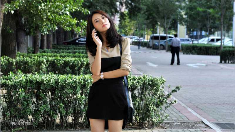 高圆圆(Gao Yuanyuan)在电视剧《咱们结婚吧》中的