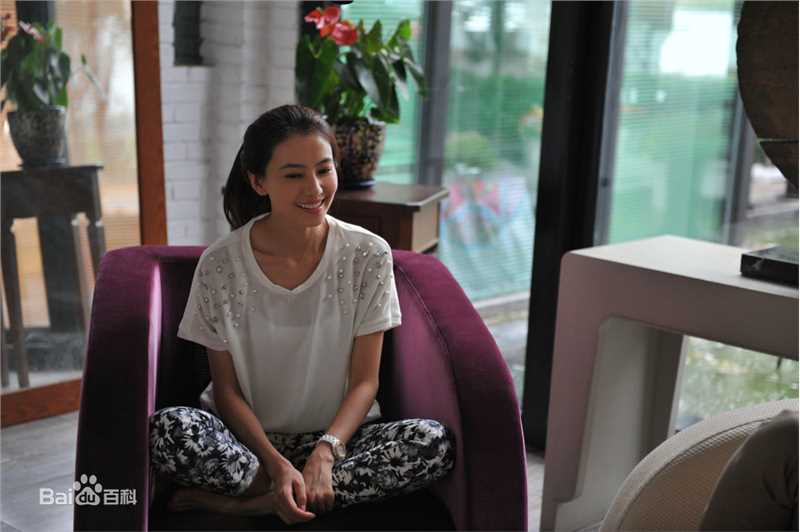 高圆圆(Gao Yuanyuan)在电视剧《咱们结婚吧》中的