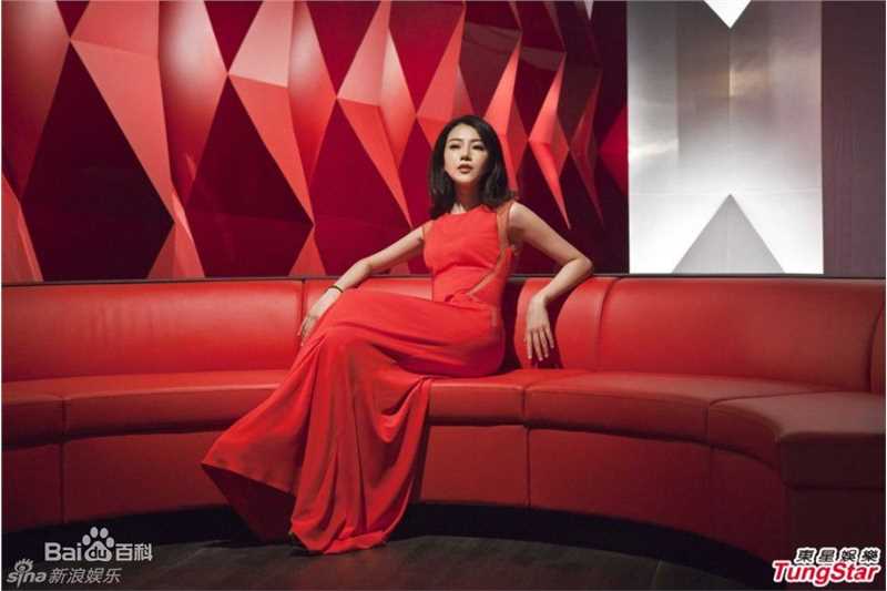 高圆圆(Gao Yuanyuan)精选大红长裙图册