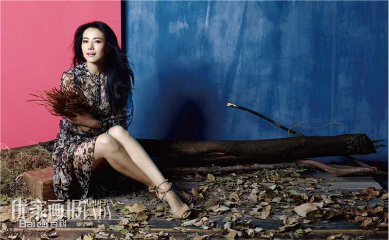 高圆圆(Gao Yuanyuan)在《优家画报》中的