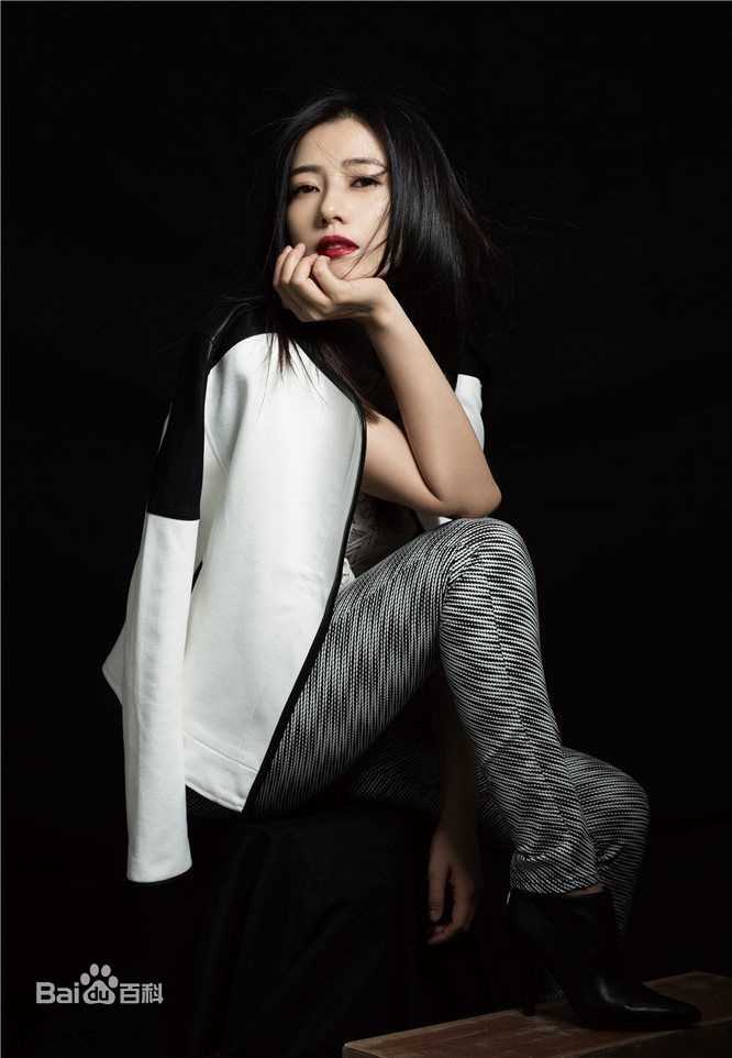 高圆圆(Gao Yuanyuan)秋冬时尚大片性感图片壁纸