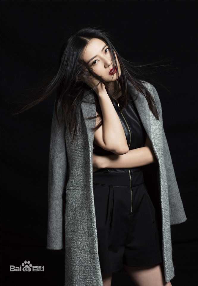 高圆圆(Gao Yuanyuan)秋冬时尚大片性感图片壁纸