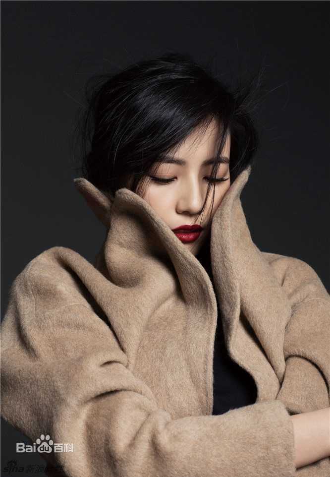 高圆圆(Gao Yuanyuan)秋冬时尚大片性感图片壁纸