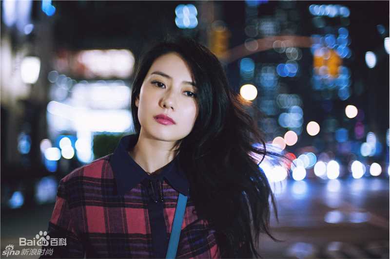 高圆圆(Gao Yuanyuan)纽约夜景街拍图片图册