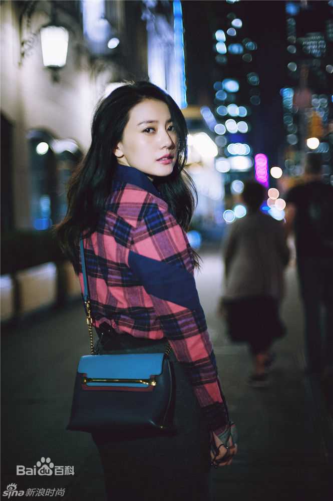 高圆圆(Gao Yuanyuan)纽约夜景街拍图片图册