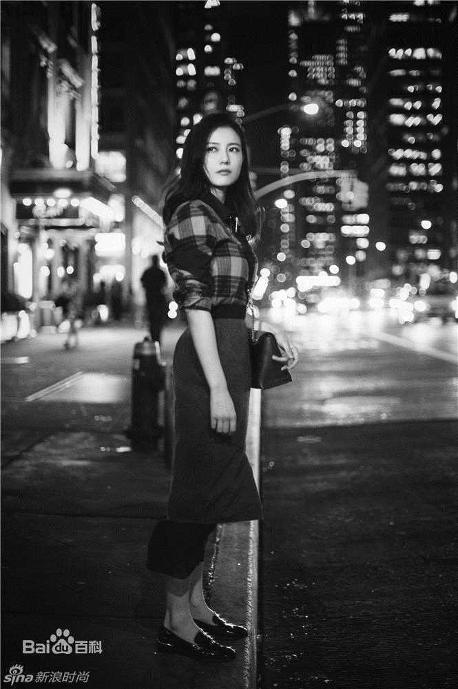 高圆圆(Gao Yuanyuan)纽约夜景街拍图片图册