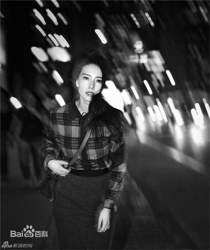 高圆圆(Gao Yuanyuan)纽约夜景街拍图片图册