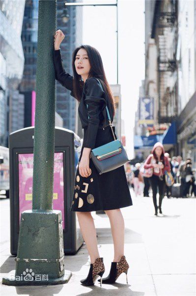 高圆圆(Gao Yuanyuan)高清纽约街头图集