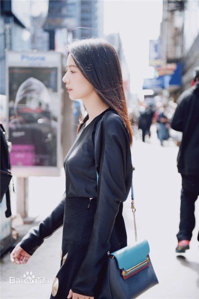 高圆圆(Gao Yuanyuan)高清纽约街头图集