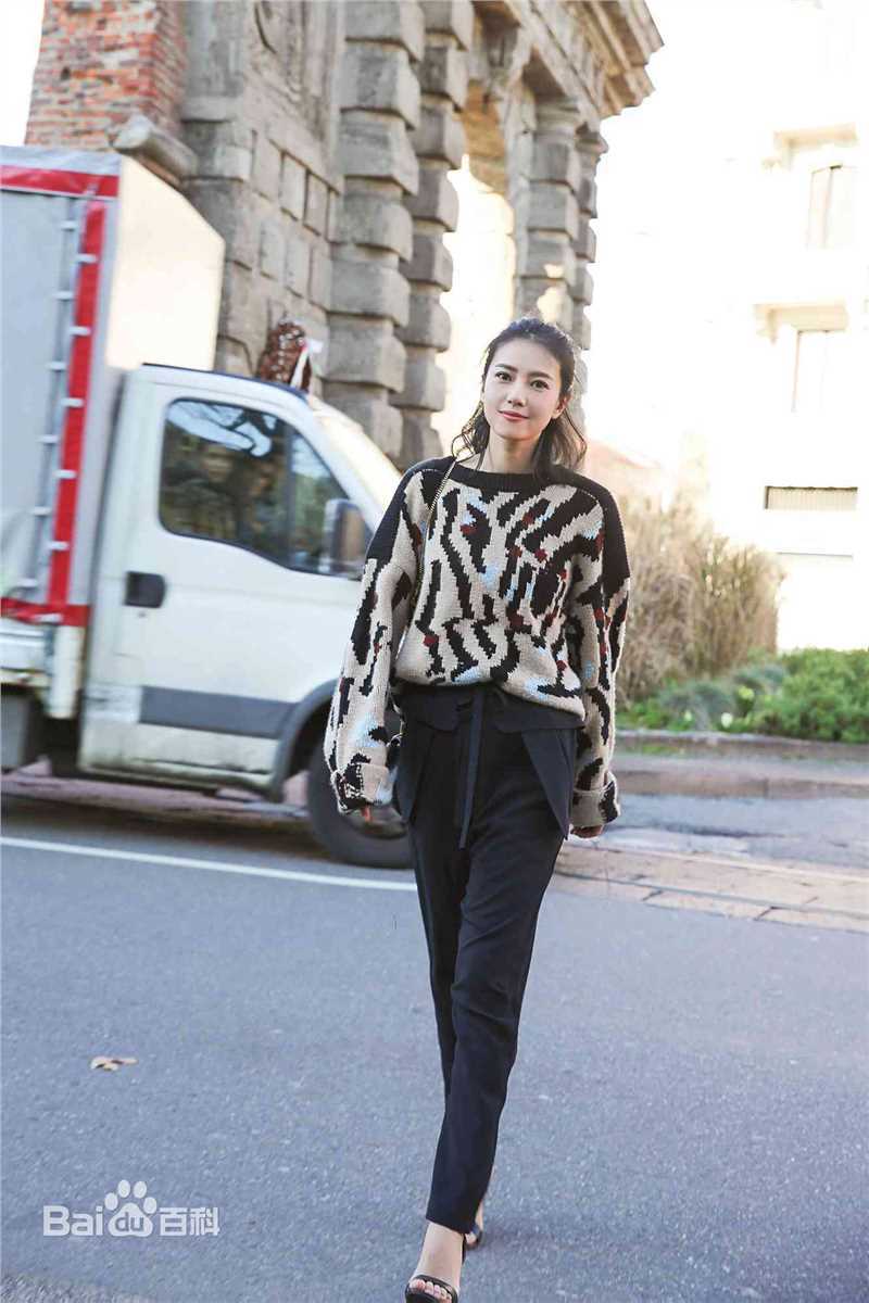 高圆圆(Gao Yuanyuan)街拍性感图片图集