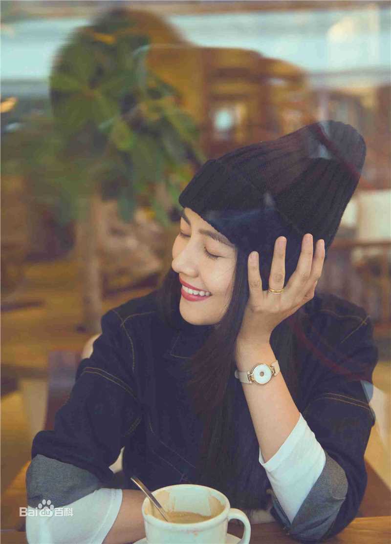 高圆圆(Gao Yuanyuan)街拍性感图片图集