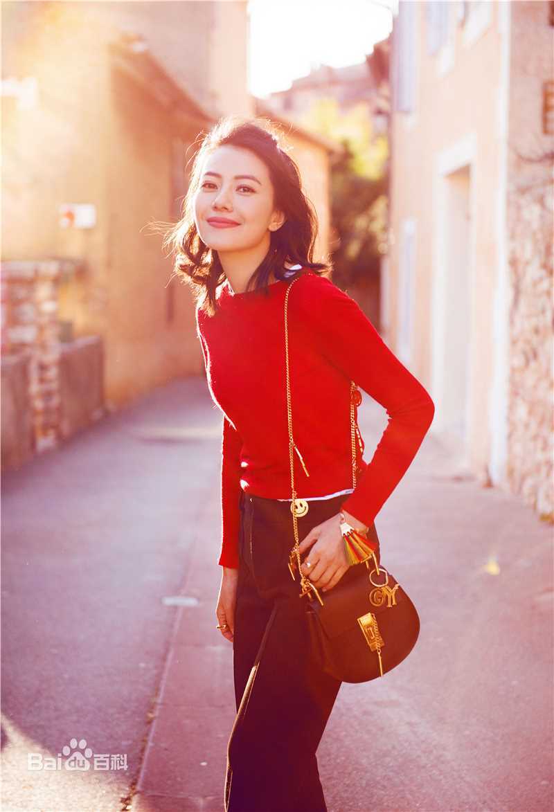 高圆圆(Gao Yuanyuan)街拍性感图片图集