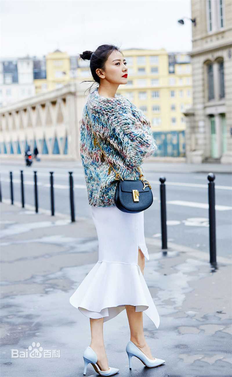 高圆圆(Gao Yuanyuan)街拍性感图片图集