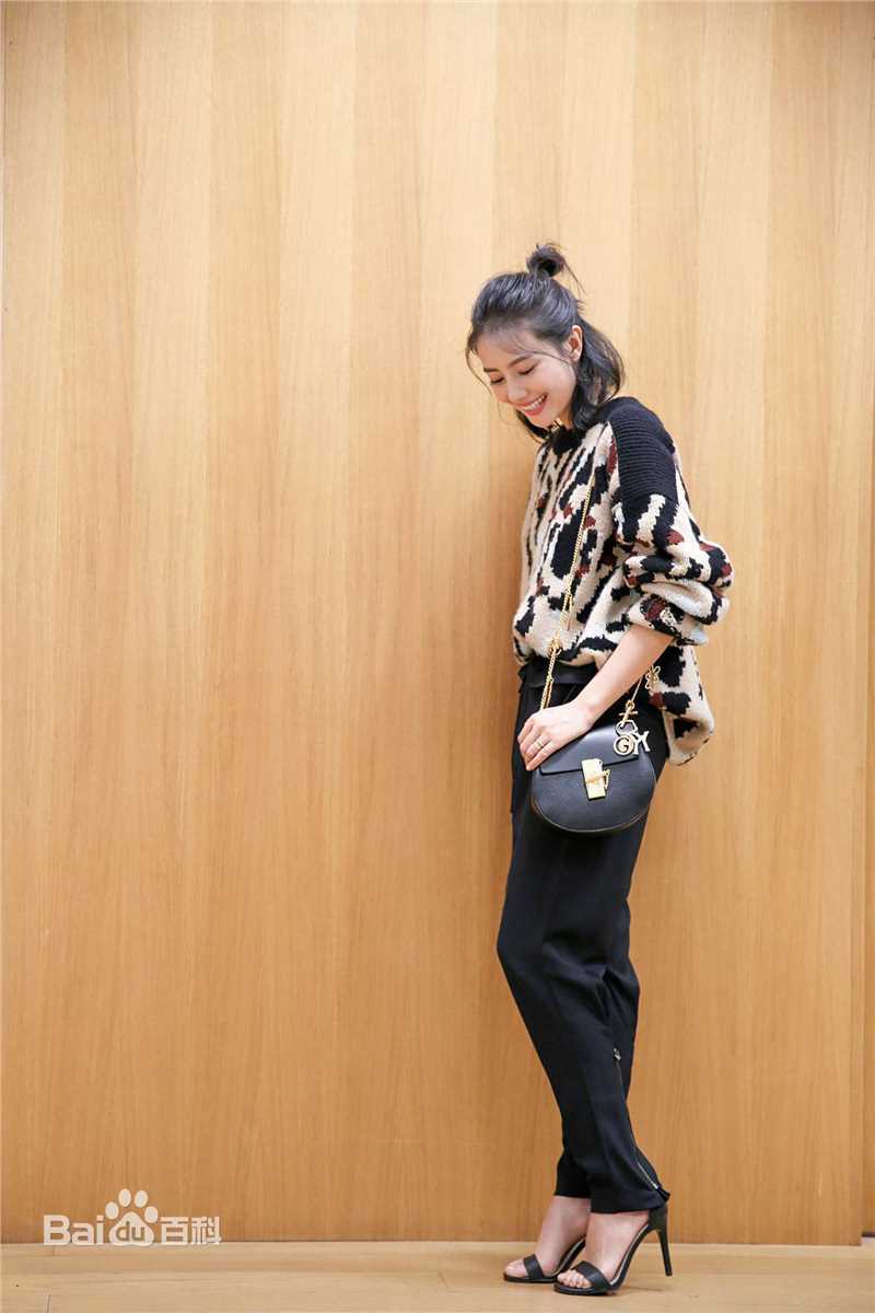 高圆圆(Gao Yuanyuan)街拍性感图片图集