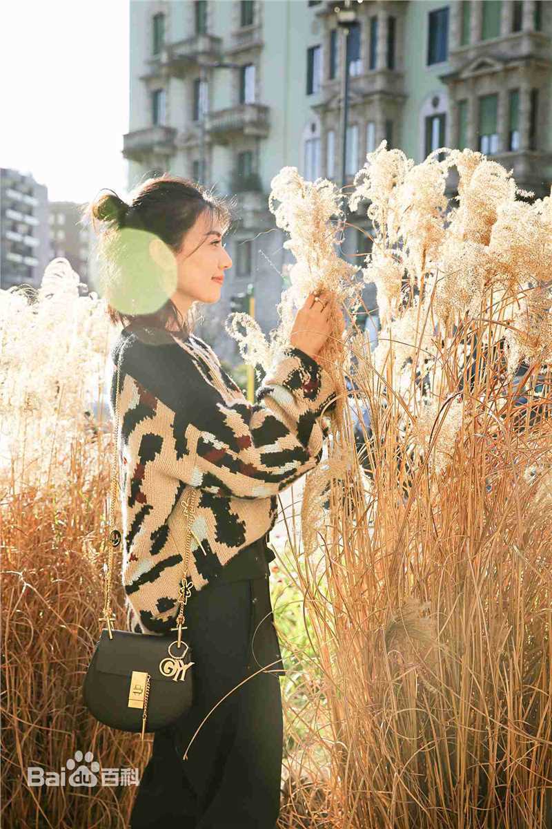 高圆圆(Gao Yuanyuan)街拍性感图片图集