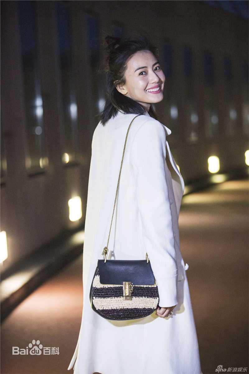 高圆圆(Gao Yuanyuan)街拍性感图片图集