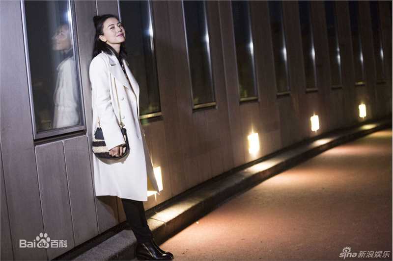 高圆圆(Gao Yuanyuan)街拍性感图片图集