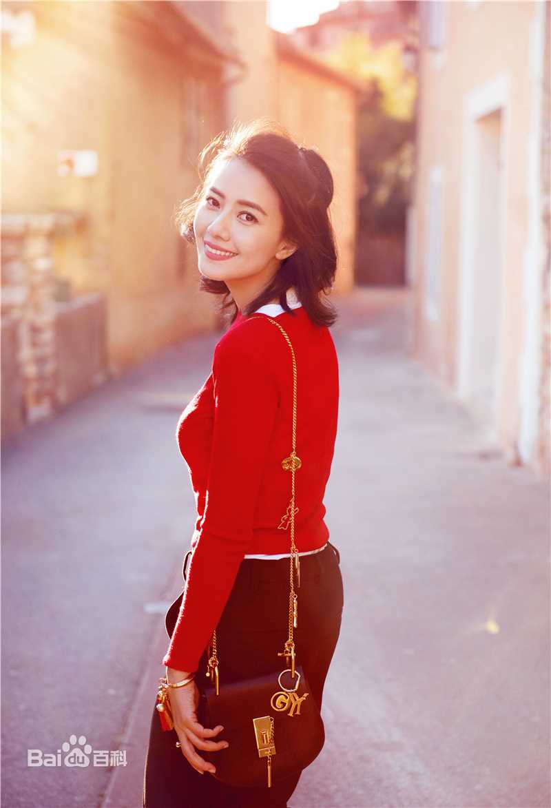 高圆圆(Gao Yuanyuan)街拍性感图片图集