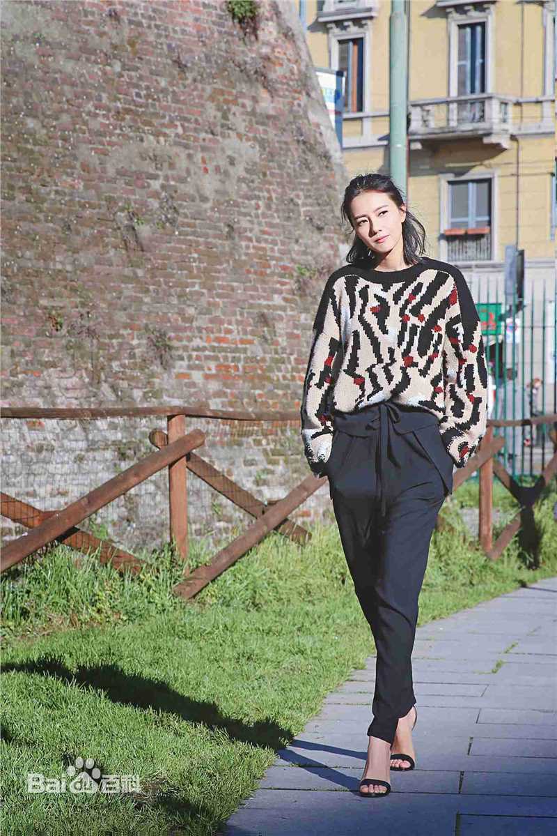 高圆圆(Gao Yuanyuan)街拍性感图片图集